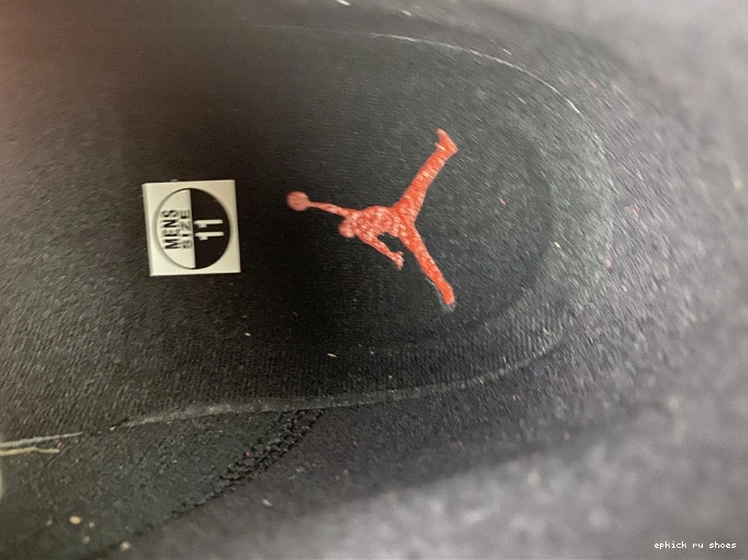 Rep 13 602 AIR DJ5982 JORDAN REVERSE BRED
